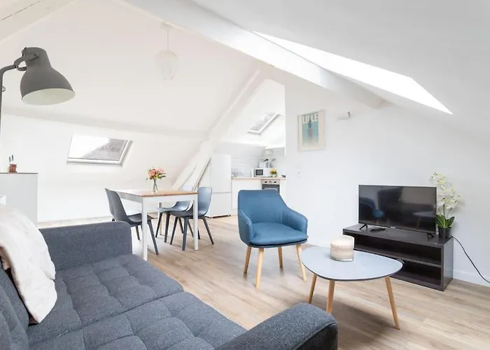 Appartement Agreable Et Spacieux 2 Chambres 2 Sdb - Lille
